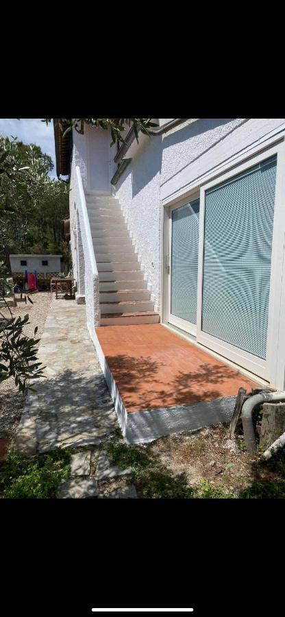 Alojamento de Acomodação e Pequeno-almoço La Collina Sul Mare